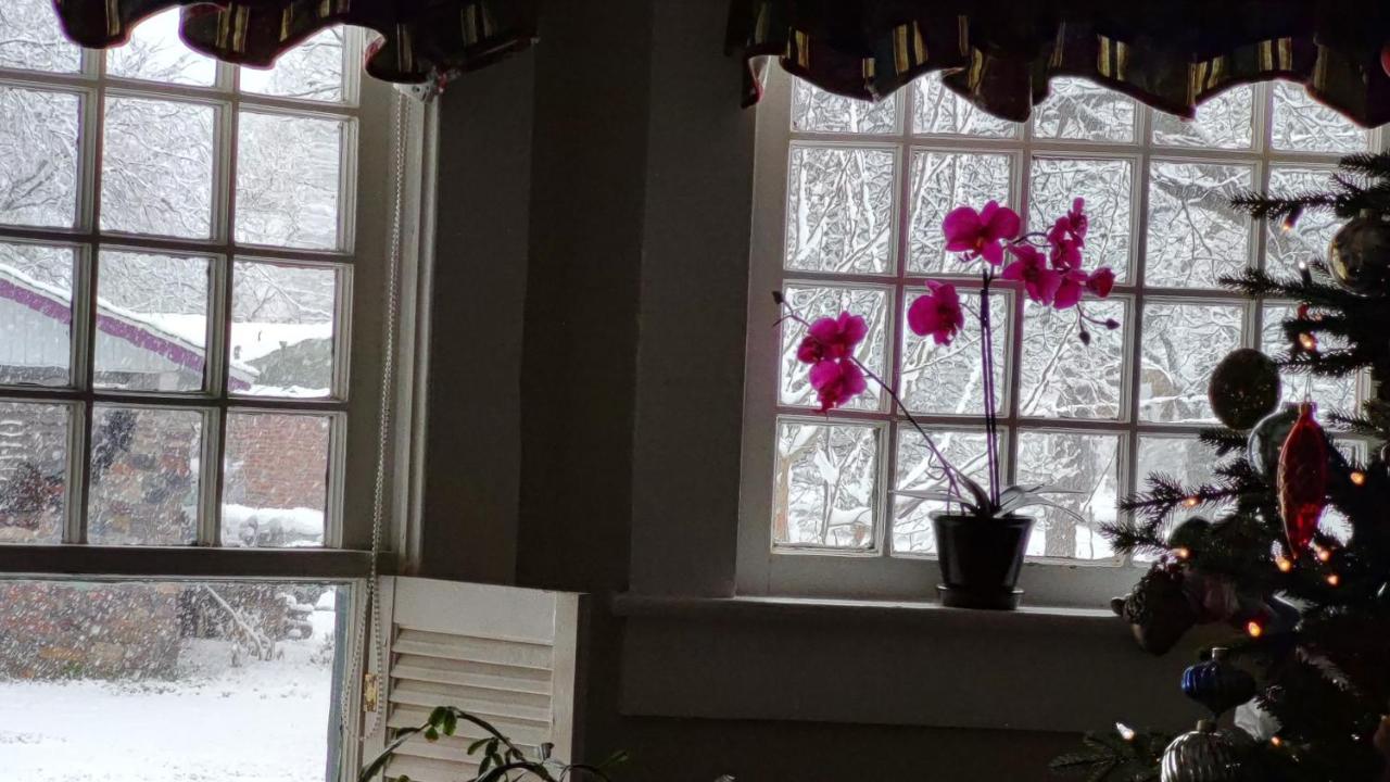 Granbury Gardens Bed And Breakfast Dış mekan fotoğraf