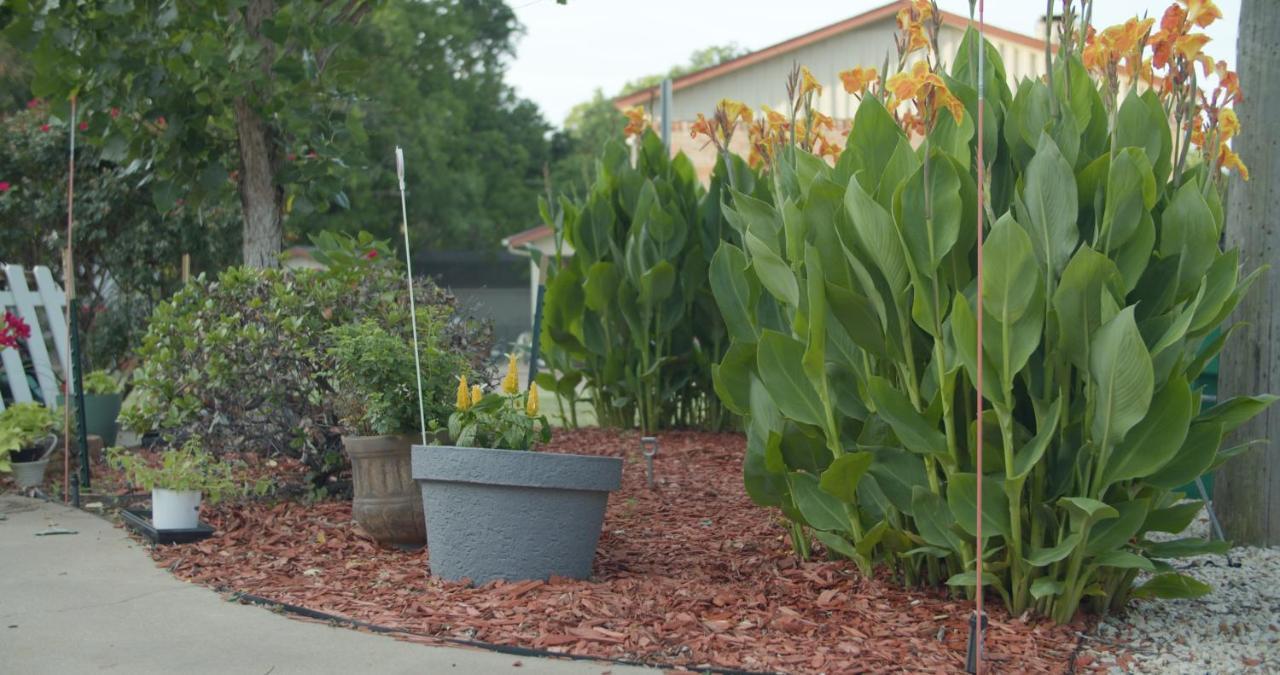 Granbury Gardens Bed And Breakfast Dış mekan fotoğraf